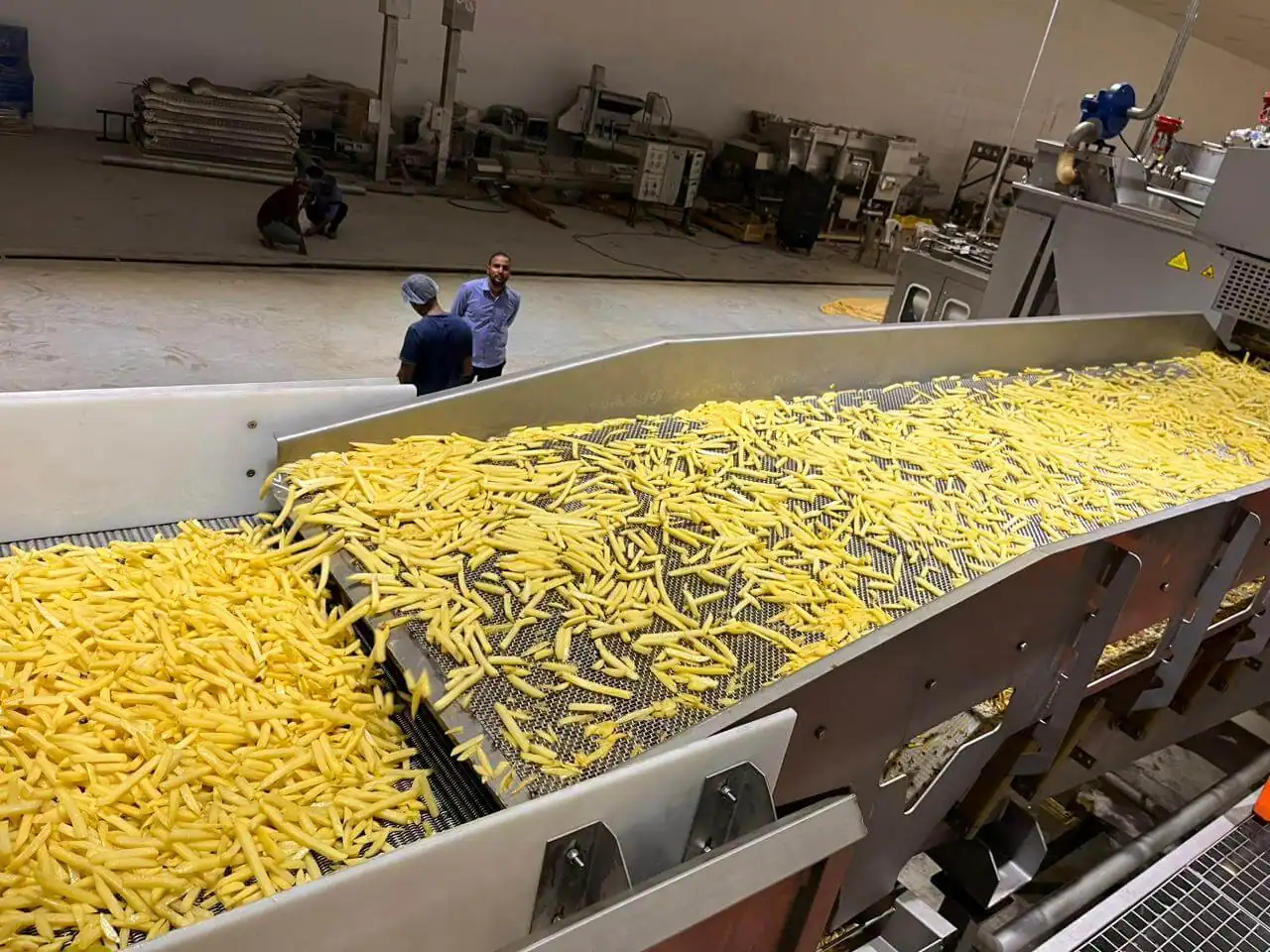 Industrial Automatic Chips Making Machine Noida
