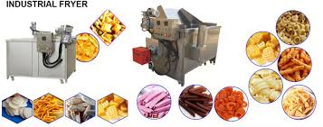 Food Grade Automatic Snacks Frying Machine Manufacturer in Greater Noida
